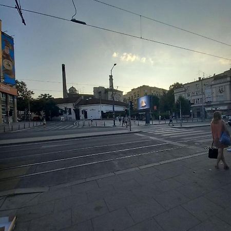 Skardarlija Pijaca Studio Apartment Beograd Bagian luar foto