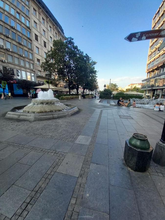 Skardarlija Pijaca Studio Apartment Beograd Bagian luar foto